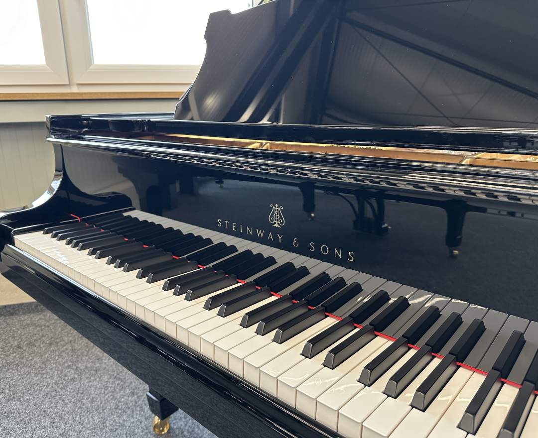 Steinway & Sons - Steinway & Sons Flügel, Modell S-155