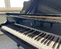 Steinway & Sons - Steinway & Sons Flügel, Modell S-155 Thumbnail