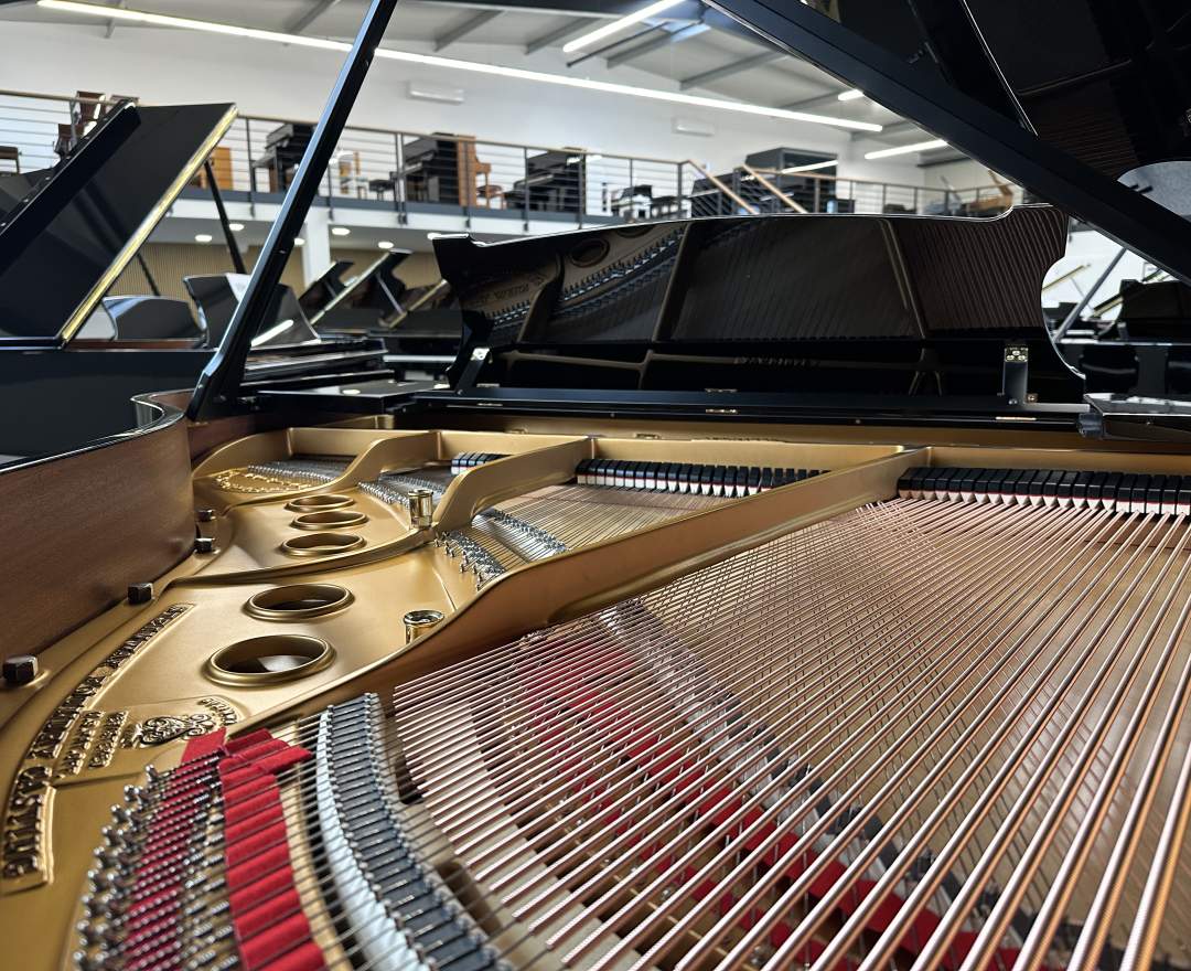 Steinway & Sons - Steinway & Sons Flügel, Modell S-155