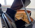 Steinway & Sons - Steinway & Sons Flügel, Modell M-170 Thumbnail
