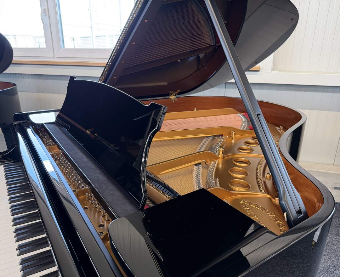 Steinway & Sons - Steinway & Sons Flügel, Modell M-170