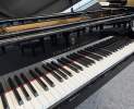 Steinway & Sons - Steinway & Sons Flügel, Modell M-170 Thumbnail
