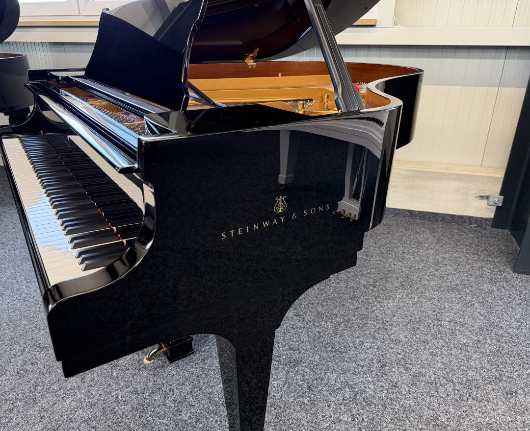 Steinway & Sons - Steinway & Sons Flügel, Modell M-170