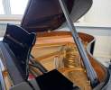 Steinway & Sons - Steinway & Sons Flügel, Modell M-170 Thumbnail