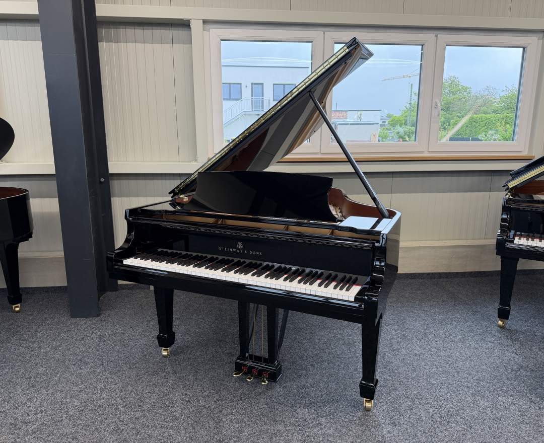 Steinway & Sons Steinway & Sons Flügel, Modell M-170