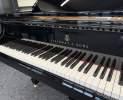 Steinway & Sons - Steinway & Sons Flügel, Modell M-170 Thumbnail