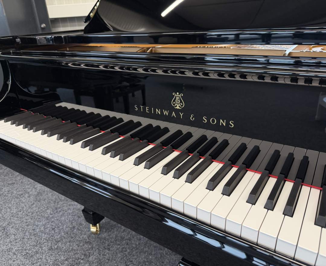 Steinway & Sons - Steinway & Sons Flügel, Modell M-170