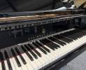 Steinway & Sons - Steinway & Sons Flügel, Modell M-170 Thumbnail