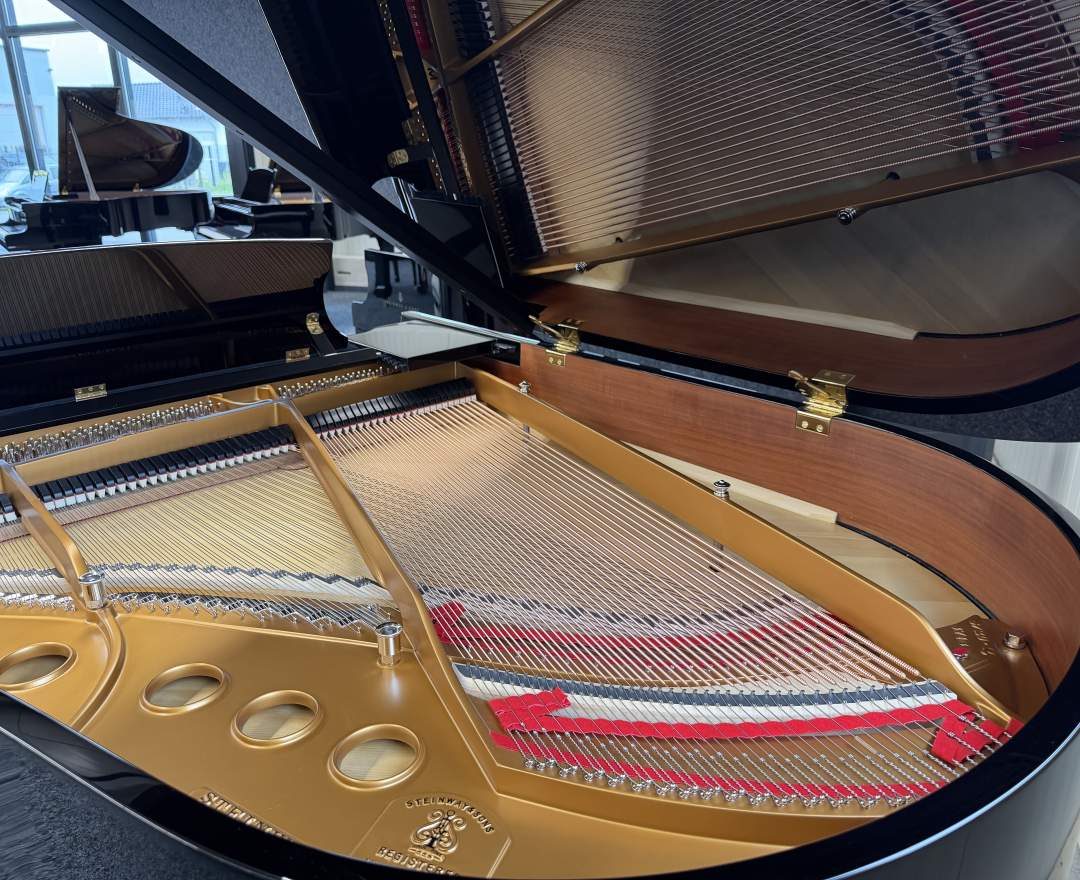 Steinway & Sons - Steinway & Sons Flügel, Modell M-170