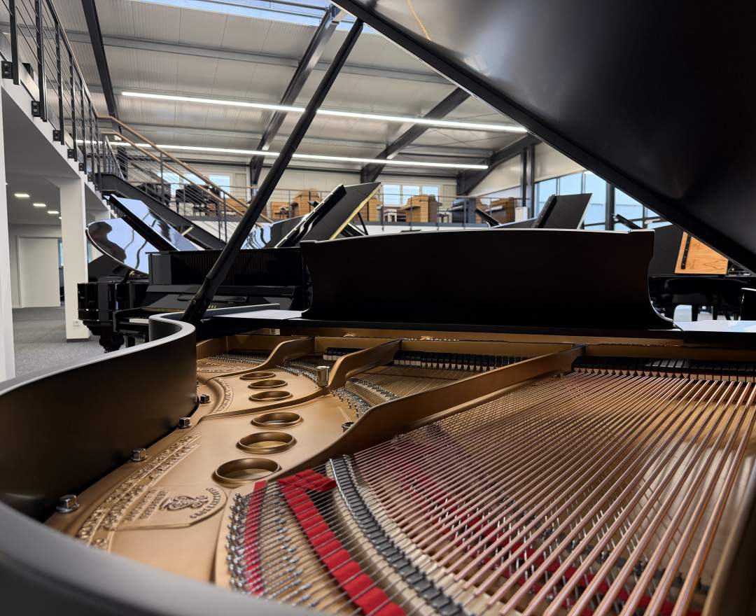Steinway & Sons - Steinway & Sons Flügel, Modell M-170, matt schwarz