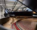 Steinway & Sons - Steinway & Sons Flügel, Modell M-170, matt schwarz Thumbnail