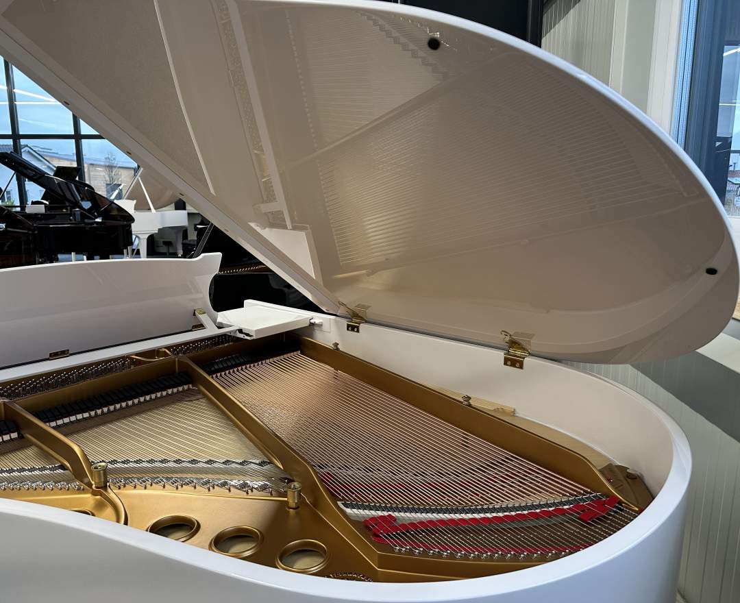 Steinway & Sons - Steinway & Sons Flügel, Modell M-170, weiß poliert