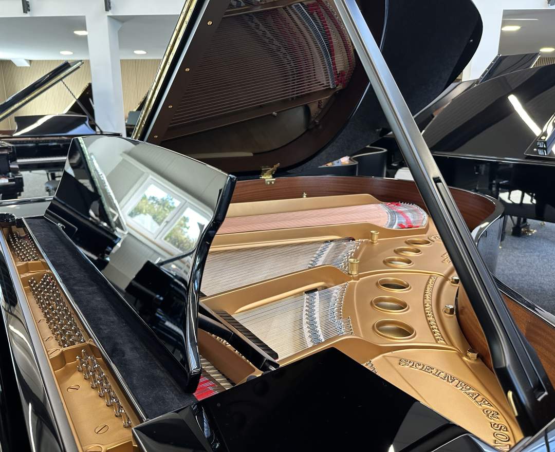 Steinway & Sons - Steinway & Sons Flügel, Modell M-170