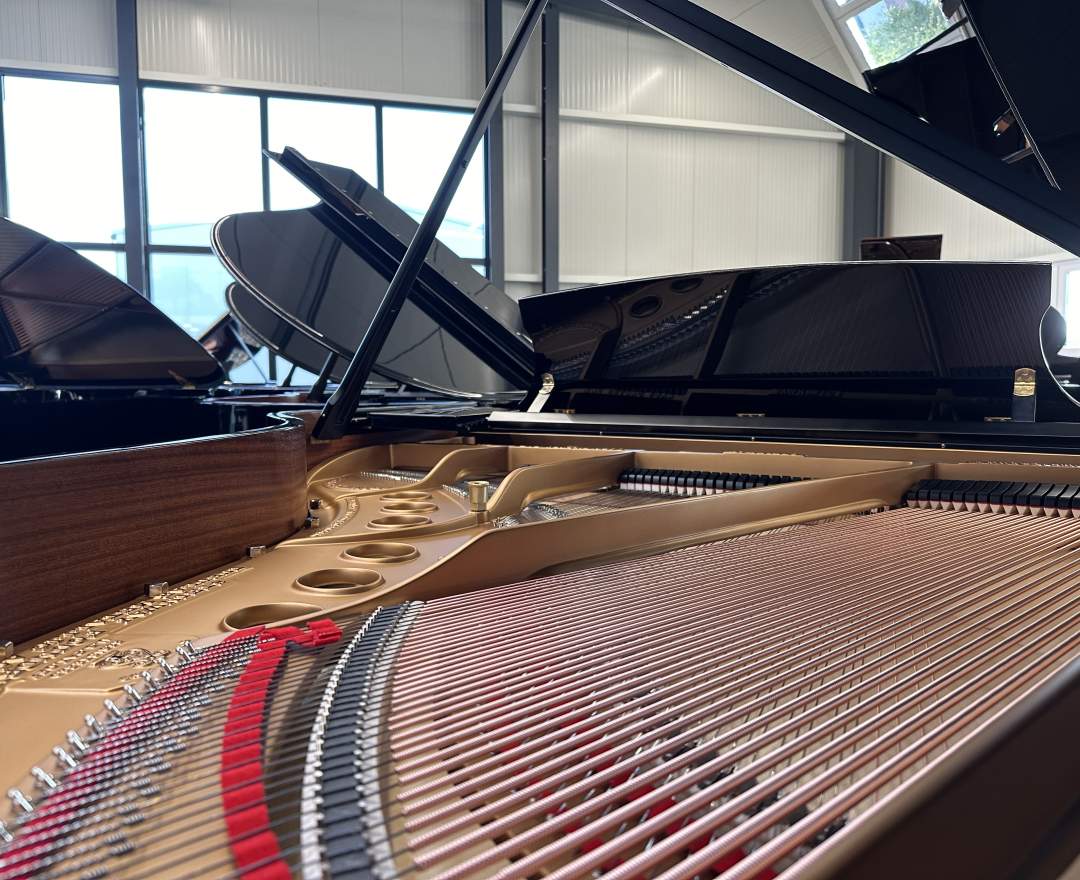 Steinway & Sons - Steinway & Sons Flügel, Modell M-170