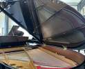 Steinway & Sons - Steinway & Sons Flügel, Modell M-170 Thumbnail