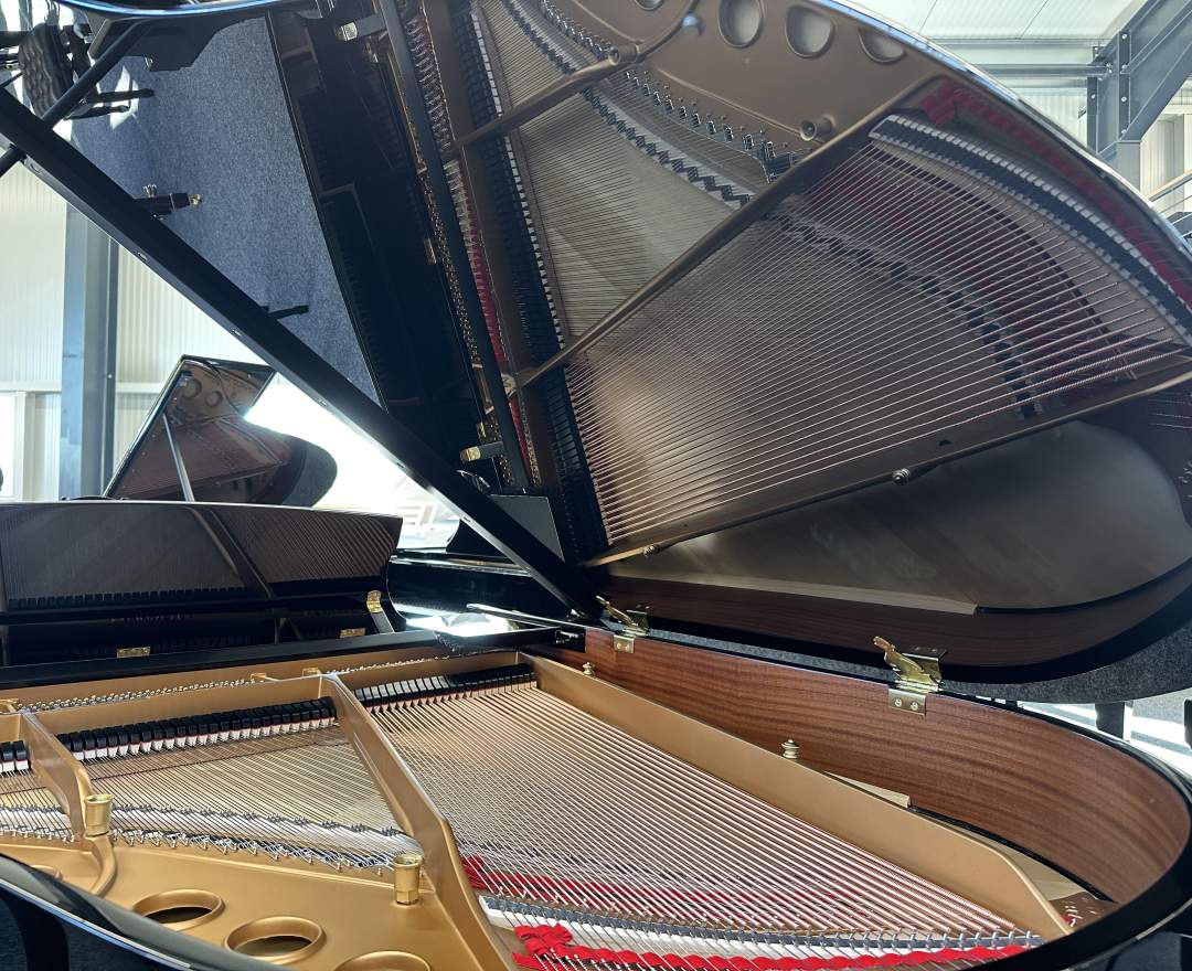 Steinway & Sons - Steinway & Sons Flügel, Modell M-170