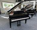 Steinway & Sons - Steinway & Sons Flügel, Modell M-170 Thumbnail