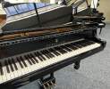 Steinway & Sons - Steinway & Sons Flügel, Modell M-170 Thumbnail