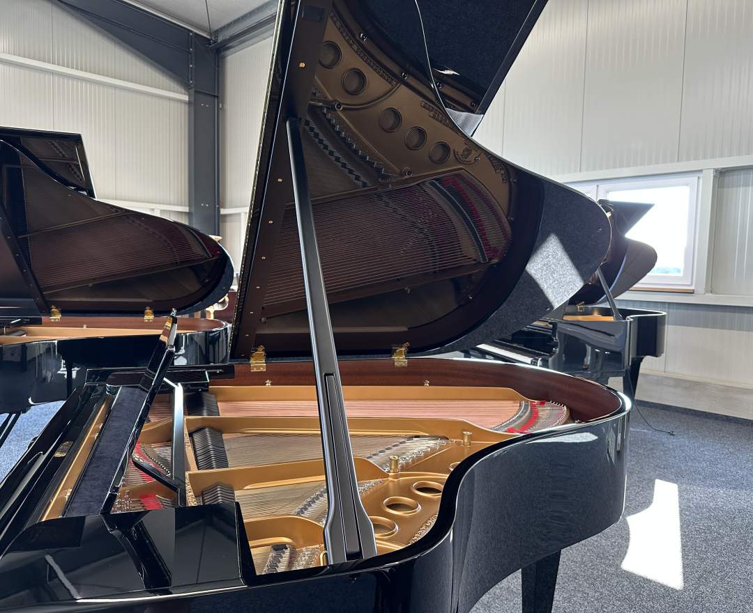Steinway & Sons - Steinway & Sons Flügel, Modell M-170
