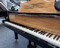 Steinway & Sons - Steinway & Sons Flügel, Modell O-180, Olive Einlagen Thumbnail