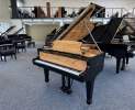 Steinway & Sons - Steinway & Sons Flügel, Modell O-180, Olive Einlagen Thumbnail