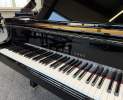 Steinway & Sons - Steinway & Sons Flügel, Modell A-188 Thumbnail