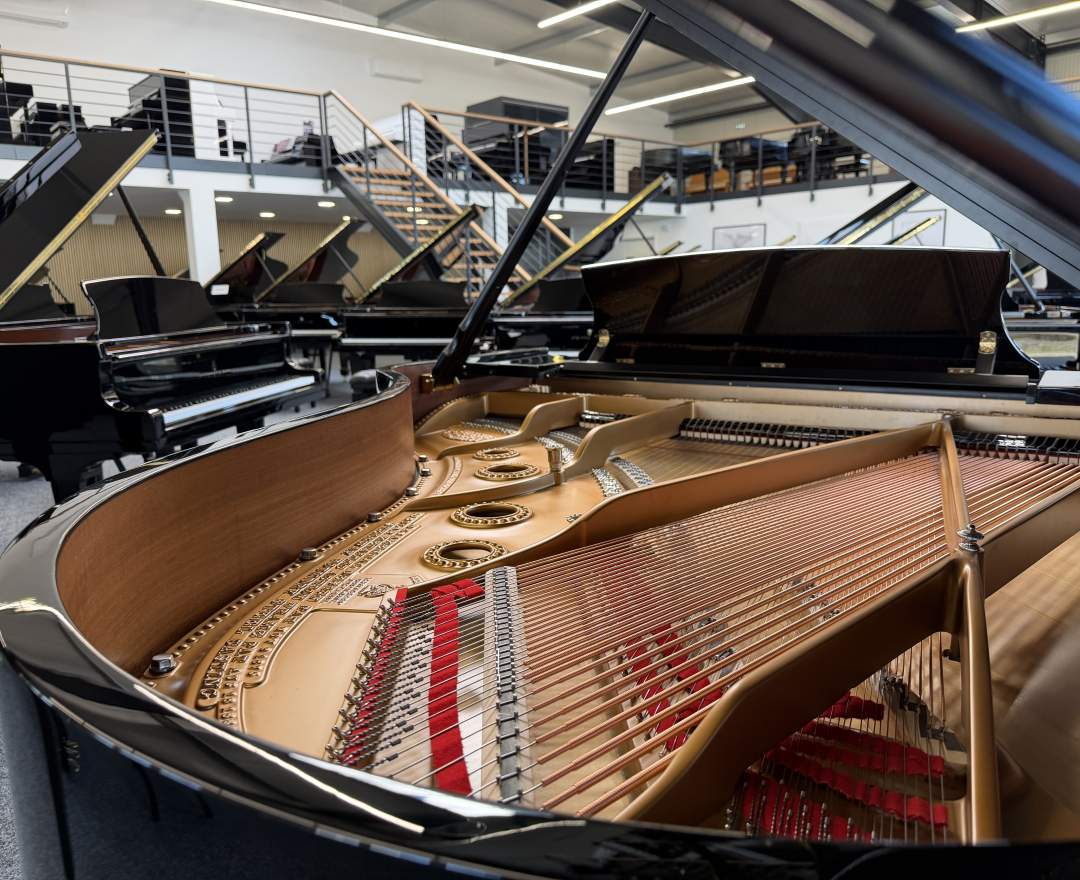 Steinway & Sons - Steinway & Sons Flügel, Modell A-188