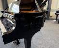 Steinway & Sons - Steinway & Sons Flügel, Modell A-188 Thumbnail
