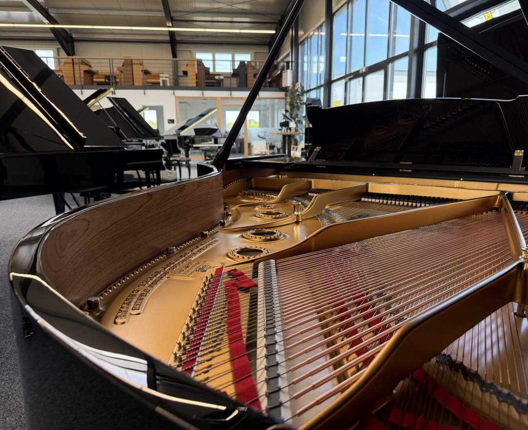 Steinway & Sons - Steinway & Sons Flügel, Modell A-188