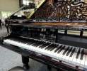 Steinway & Sons - Steinway & Sons Flügel, Modell A-188, Paderewski Edition Thumbnail