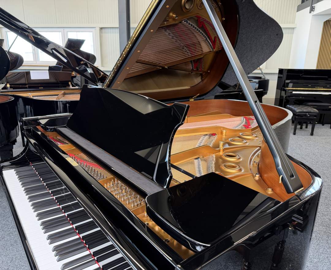 Steinway & Sons - Steinway & Sons Flügel, Modell A3-195