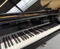 Steinway & Sons - Steinway & Sons Flügel, Modell A3-195 Thumbnail