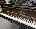 Steinway & Sons - Steinway & Sons Flügel, Modell A-188, Wurzelnuss Furnier Thumbnail