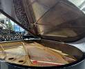 Steinway & Sons - Steinway & Sons Flügel, Modell A-188, Wurzelnuss Furnier Thumbnail