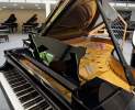 Steinway & Sons - Steinway & Sons Flügel, Modell B-211 Thumbnail