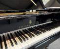 Steinway & Sons - Steinway & Sons Flügel, Modell B-211 Thumbnail