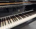 Steinway & Sons - Steinway & Sons Flügel, Modell B-211 Thumbnail