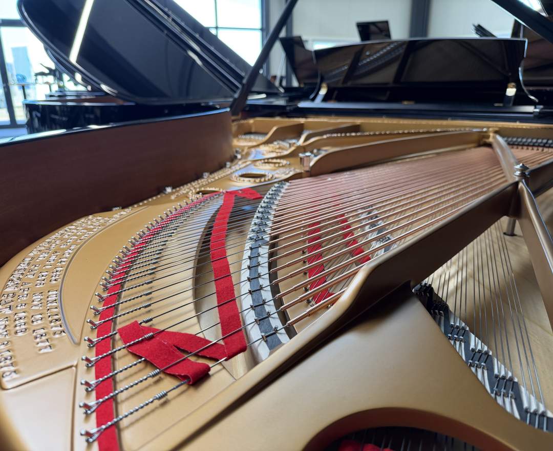 Steinway & Sons - Steinway & Sons Flügel, Modell B-211