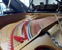 Steinway & Sons - Steinway & Sons Flügel, Modell B-211 Thumbnail