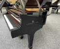 Steinway & Sons - Steinway & Sons Flügel, Modell B-211, Makassar Einlagen Thumbnail