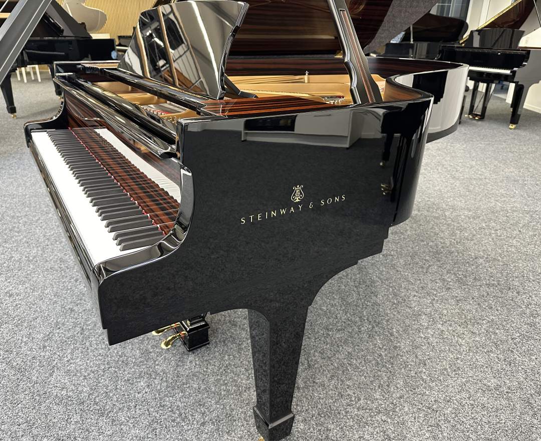 Steinway & Sons - Steinway & Sons Flügel, Modell B-211, Makassar Einlagen