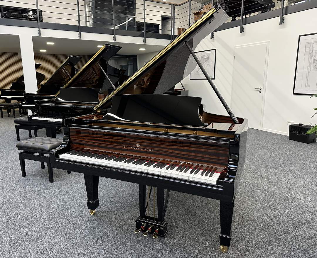 Steinway & Sons Steinway & Sons Flügel, Modell B-211, Makassar Einlagen