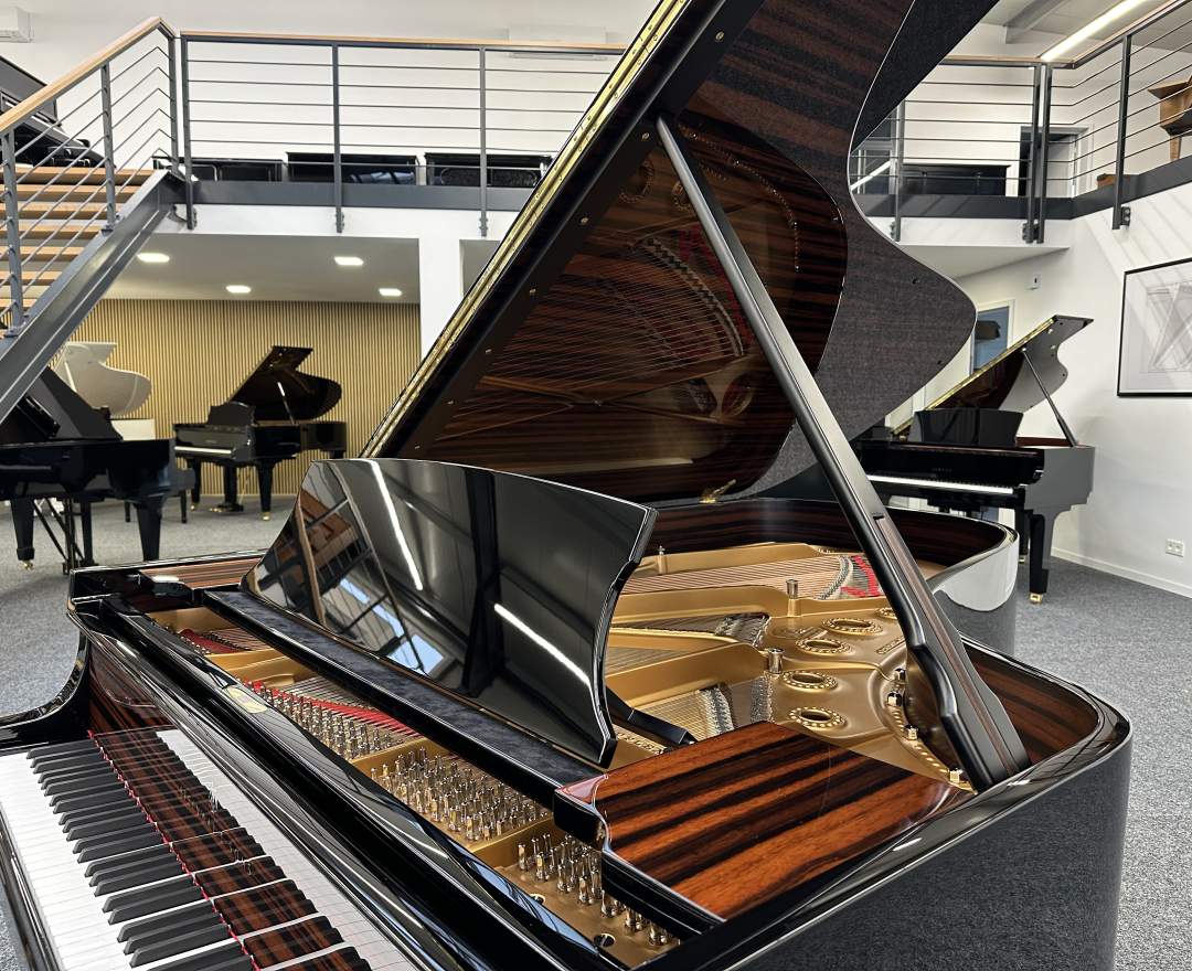 Steinway & Sons - Steinway & Sons Flügel, Modell B-211, Makassar Einlagen