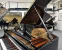 Steinway & Sons - Steinway & Sons Flügel, Modell B-211, Makassar Einlagen Thumbnail