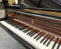 Steinway & Sons - Steinway & Sons Flügel, Modell B-211, Makassar Einlagen Thumbnail