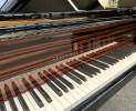 Steinway & Sons - Steinway & Sons Flügel, Modell B-211, Makassar Einlagen Thumbnail