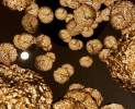 Catellani & Smith - Gold Moon Thumbnail