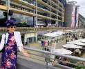 BRILLIANCE CLUB - Royal Ascot Tickets 2027 – VIP Package Ladies Day Thumbnail