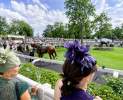 BRILLIANCE CLUB - Royal Ascot Tickets 2027 – VIP Package Ladies Day Thumbnail