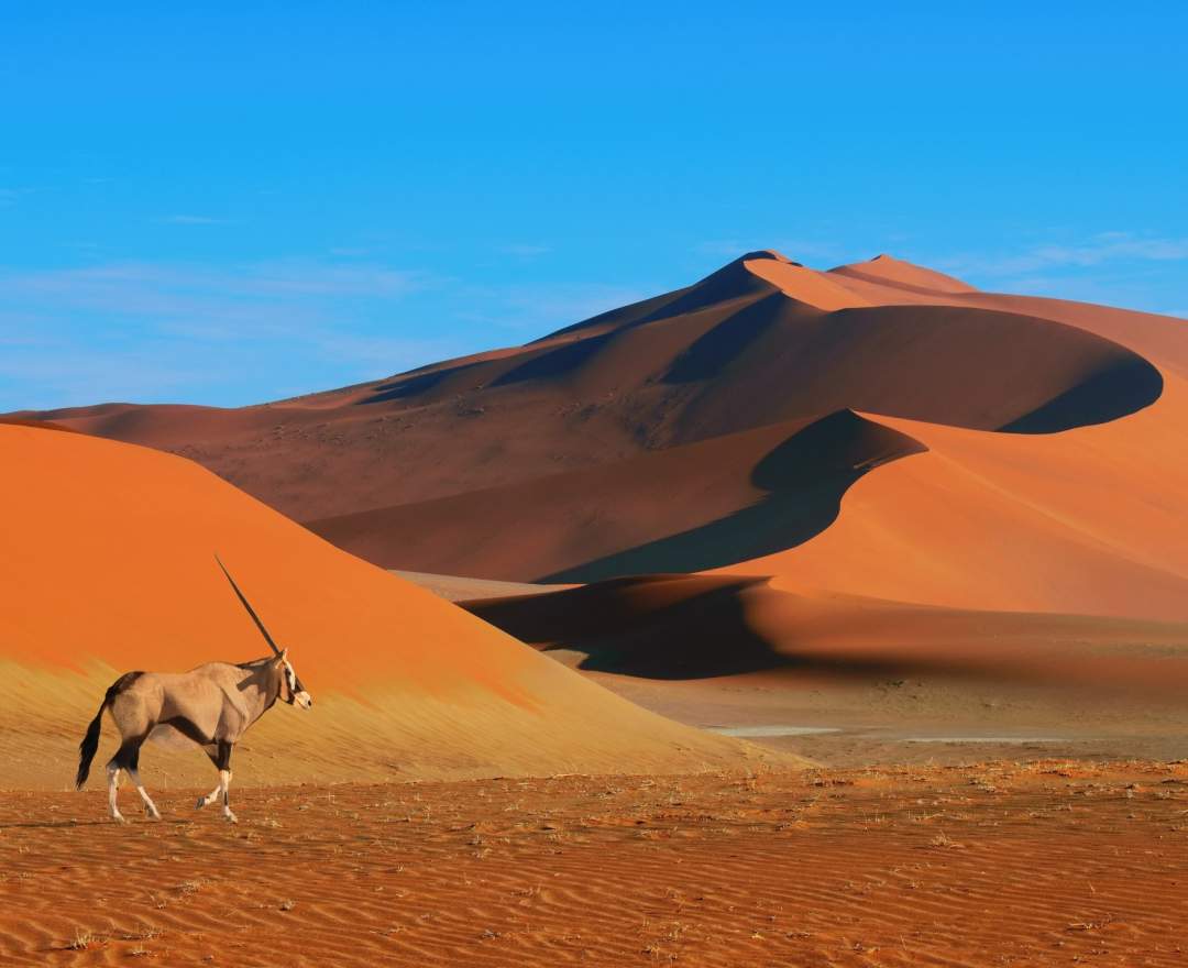 GolfculTour GmbH Namibia | 01.10. - 17.10.2027 | Endlose Weite, wilde Natur & außergewöhnliche Fairways